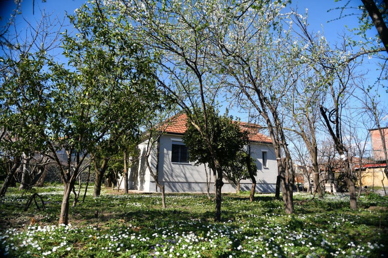Nicolaus Hidden Gem Villa شكودر المظهر الخارجي الصورة