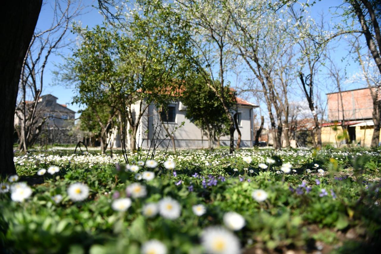 Nicolaus Hidden Gem Villa شكودر المظهر الخارجي الصورة