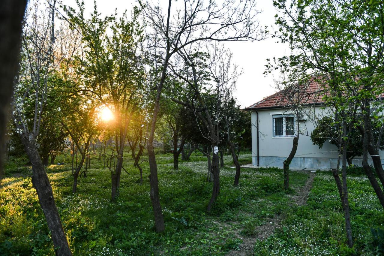 Nicolaus Hidden Gem Villa شكودر المظهر الخارجي الصورة