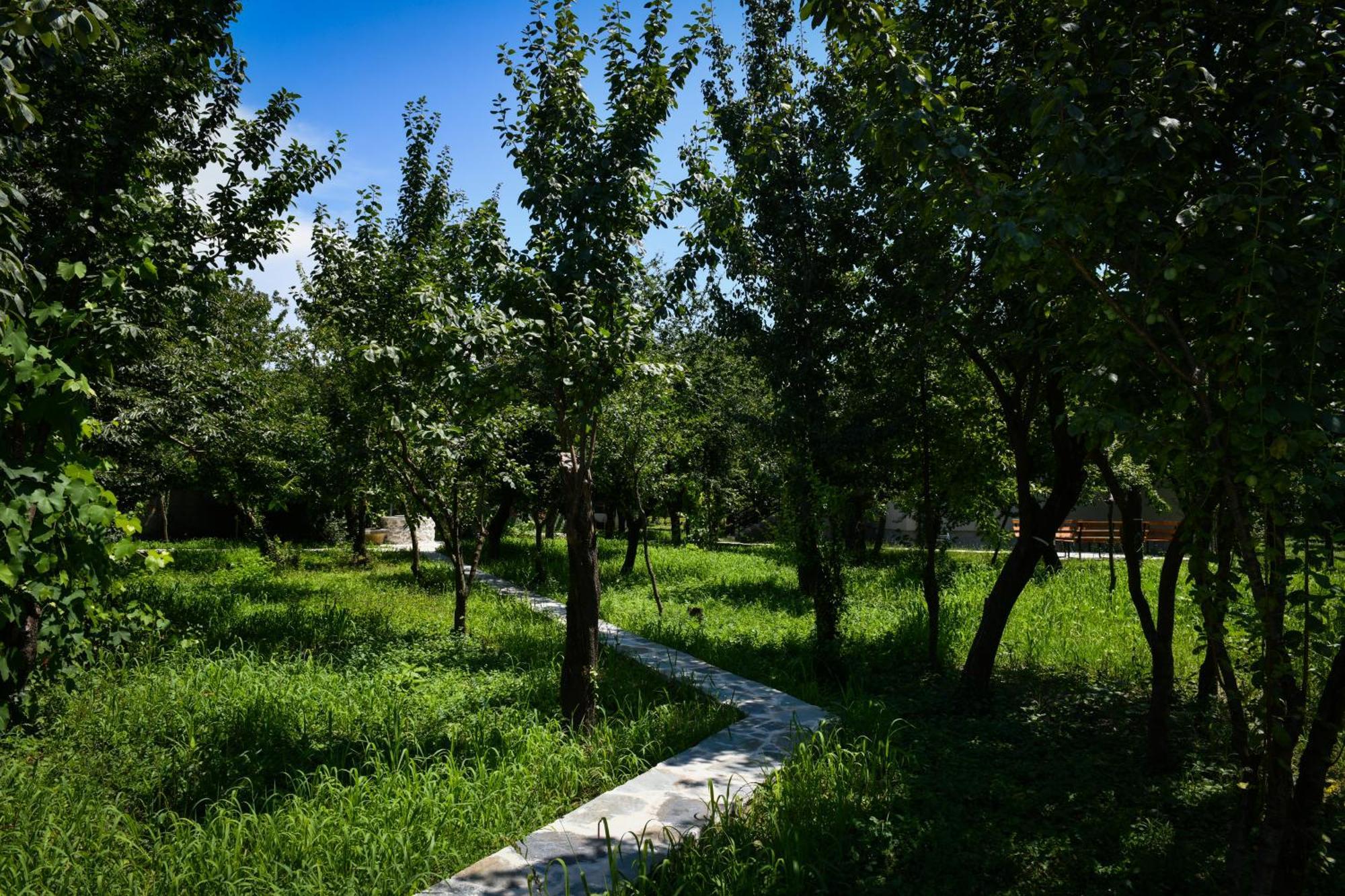 Nicolaus Hidden Gem Villa شكودر المظهر الخارجي الصورة