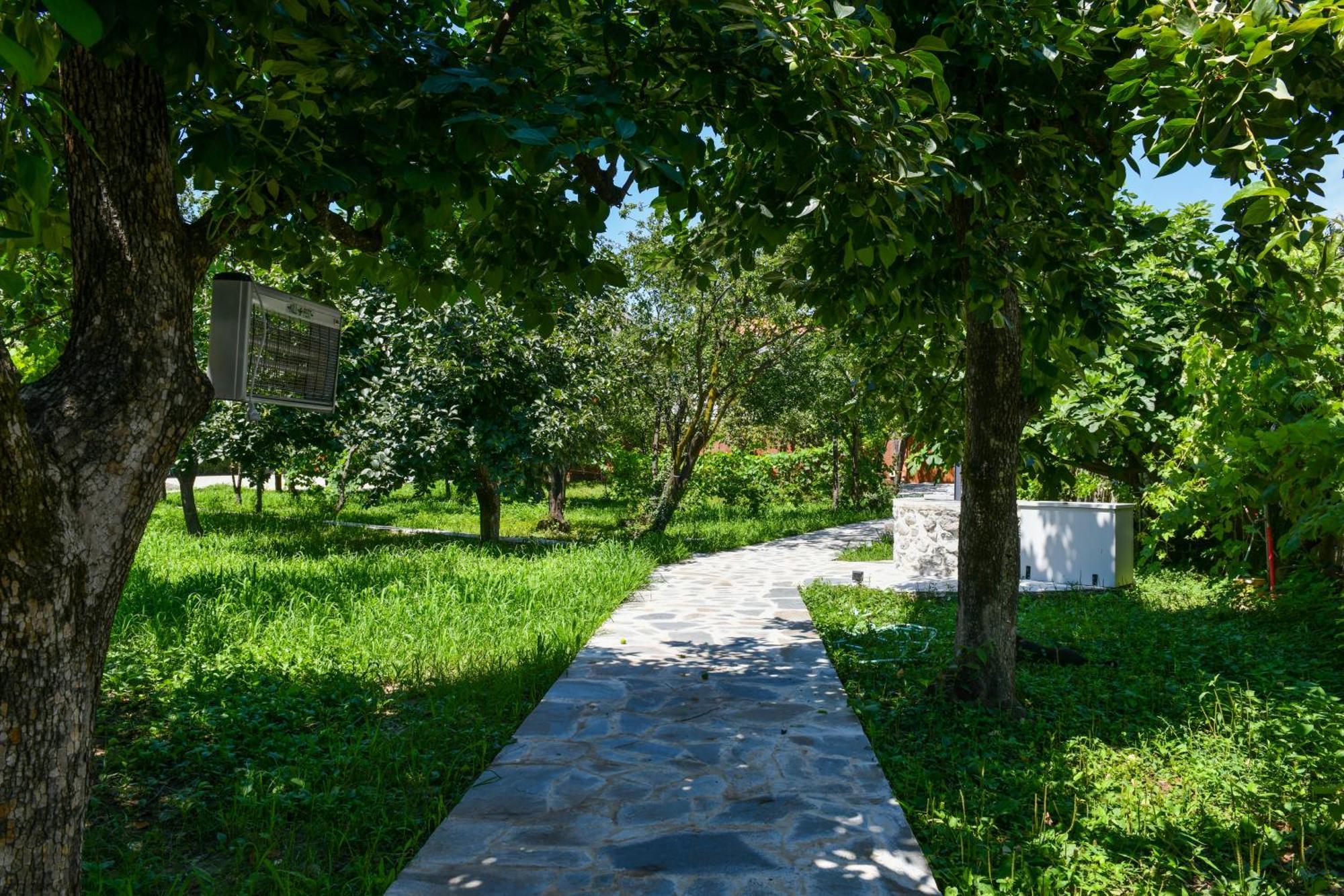 Nicolaus Hidden Gem Villa شكودر المظهر الخارجي الصورة
